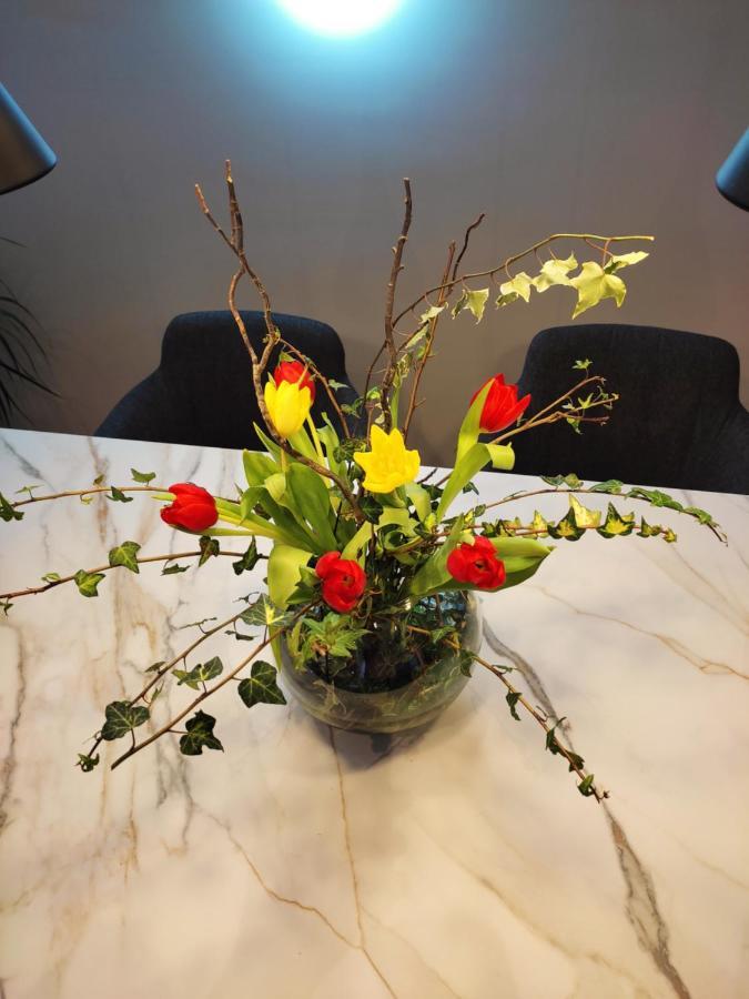 Nino Luxury Apartment Zagreb Eksteriør billede