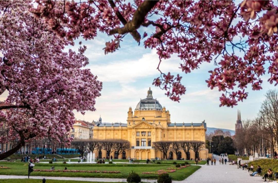 Nino Luxury Apartment Zagreb Eksteriør billede